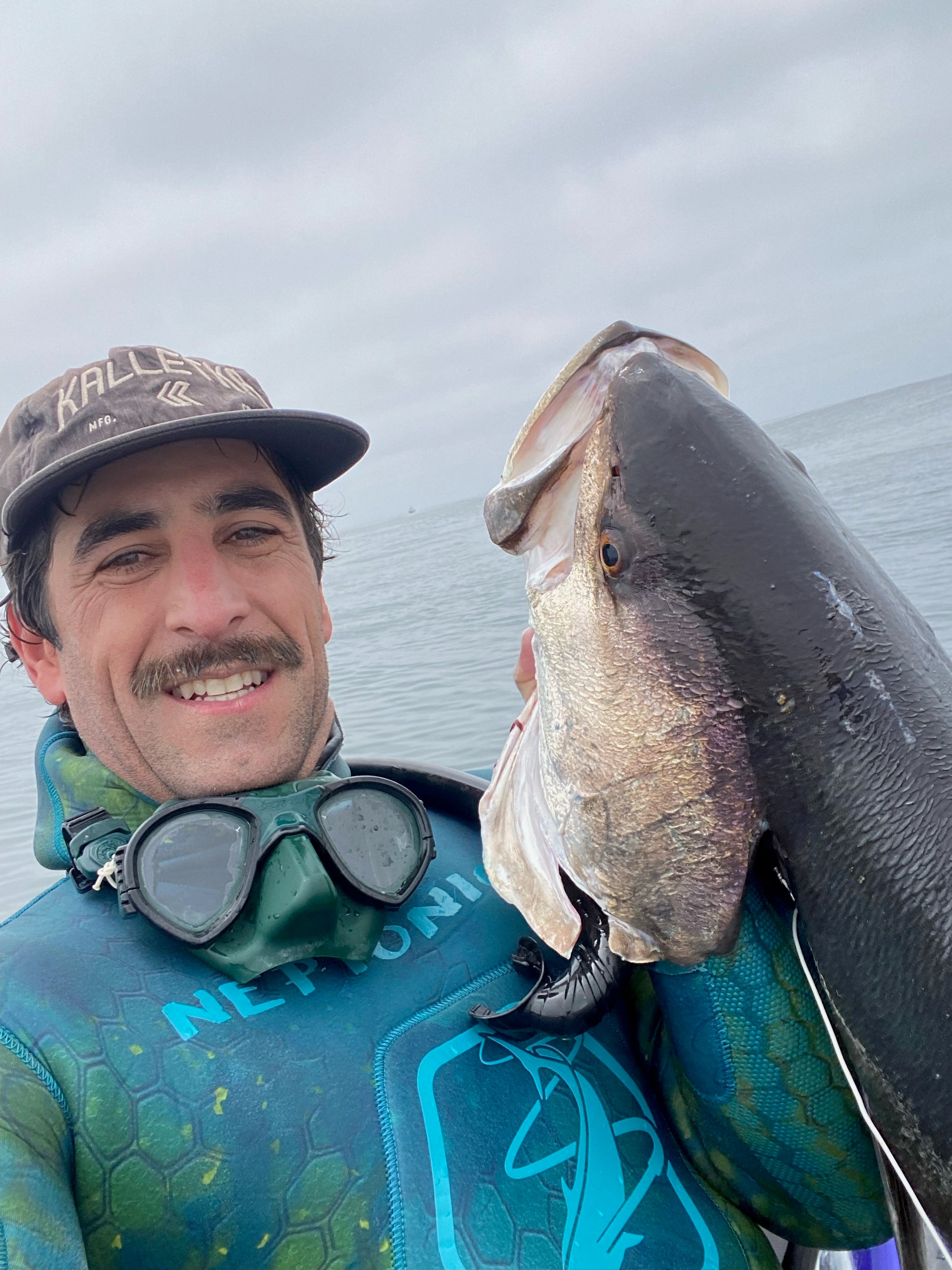 Joe Prola Kalletka Ambassador spearfishing white sea Bass