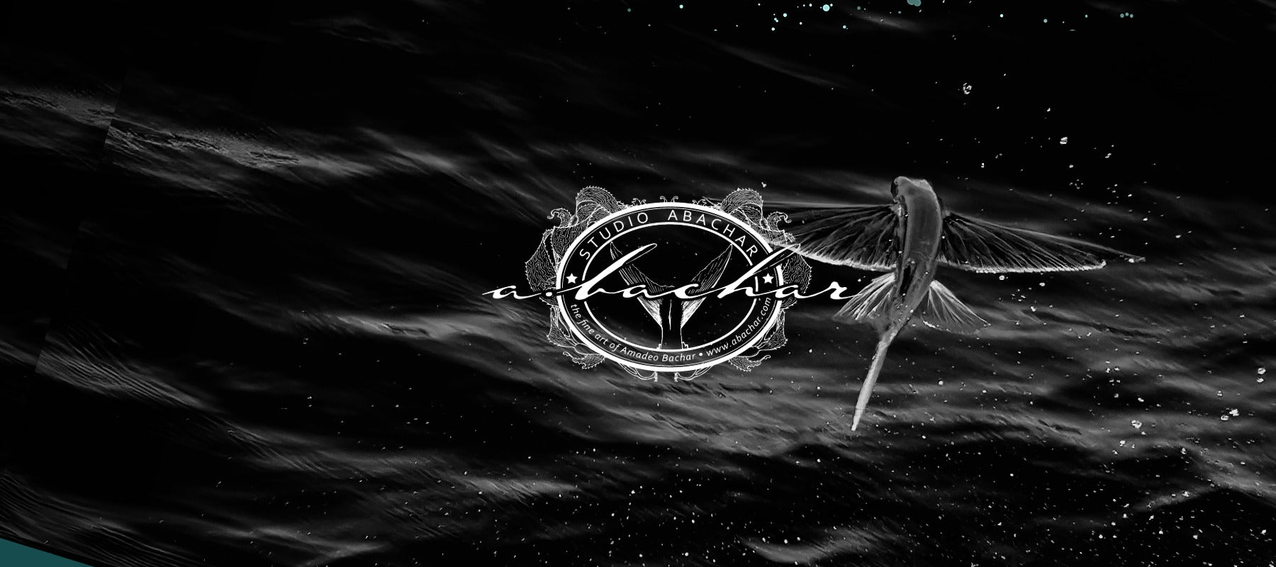 Logo with a fish silhouette on a dark, wavy background