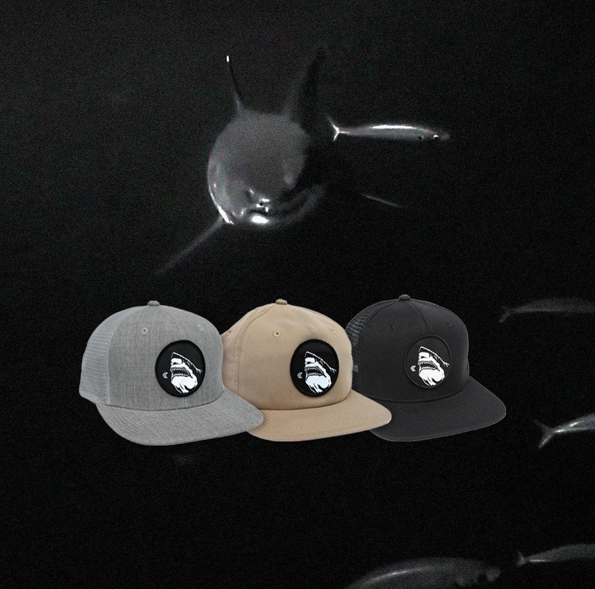 Great White Shark Hats