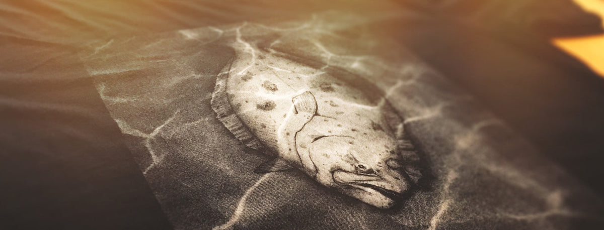 A close-up of a dark textured surface featuring a realistic halibut illustration, with warm golden light and shadow effects across the scene.