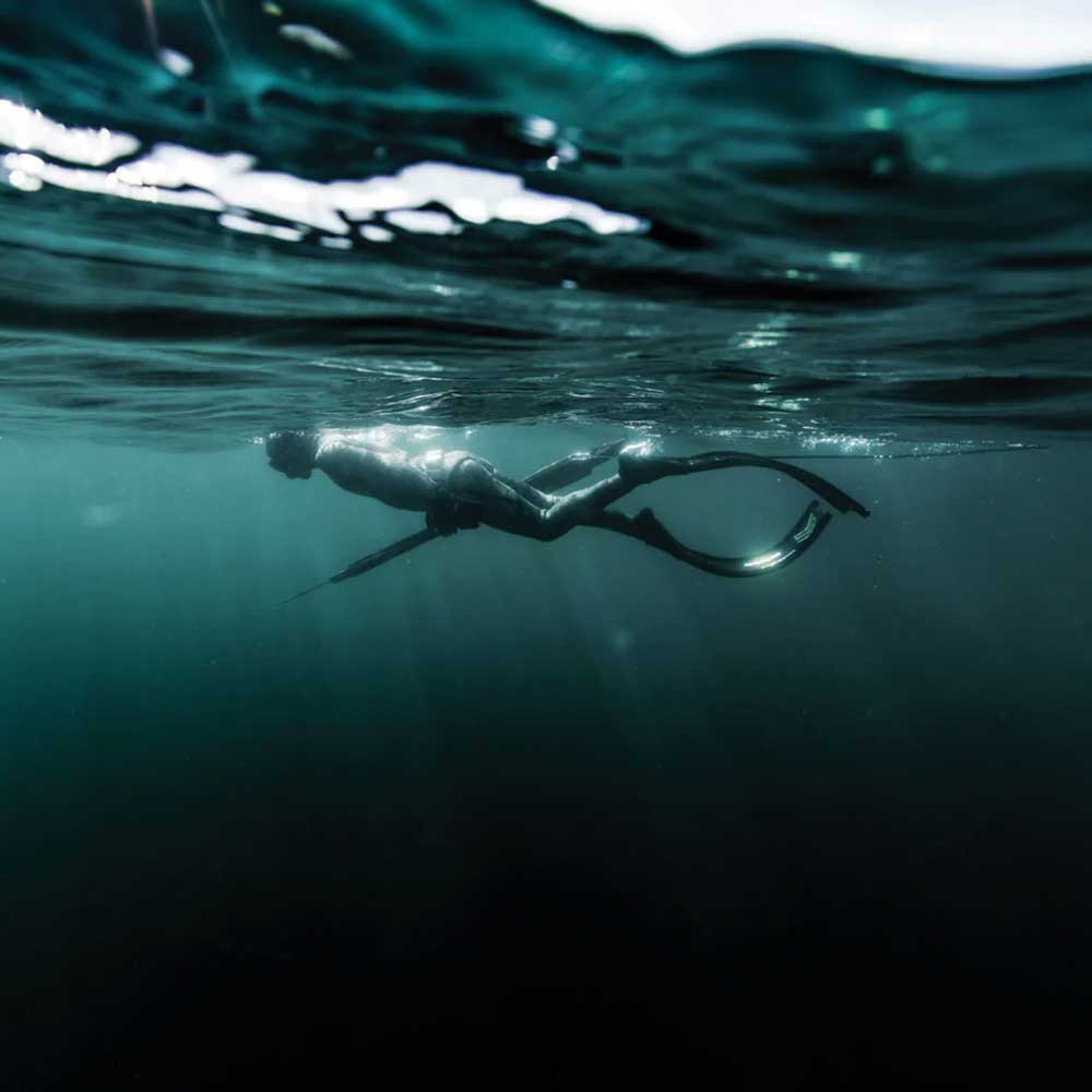 Diver in Ocean