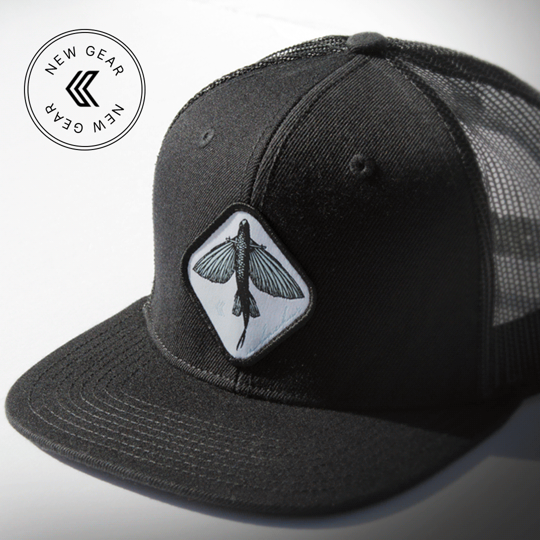 New product for the holidays